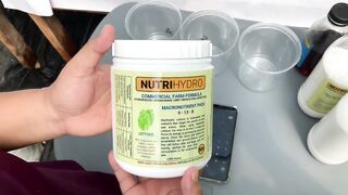 Hydroponics DWC COMPLETE SET UP powered by NutriHydro CFF.