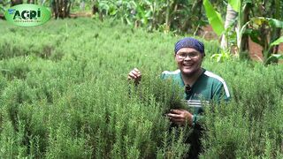 Rosemary Farm, 7 Anak Naka Graduate ng College Dahil sa Herbs