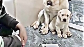 Great relation mother and son