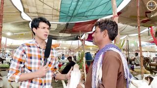 COW MANDI PART 2 _ ROAD PHATEEKH _ SALMAN SAIF (1).