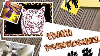 CATS will make you LAUGH YOUR HEAD OFF - Funny CAT