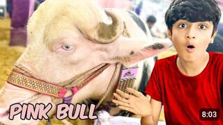 Finally Pink Bull Mill gaya.