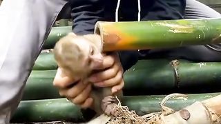 Poor Lil' Monkey Saved