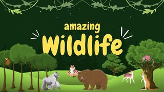 zoo animal video for kids