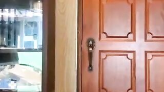 The cat opens the door in the house.