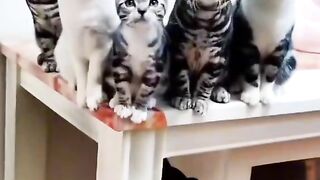 Прыколы 9