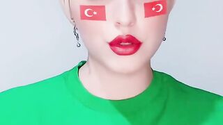 Turkeiya model