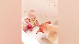 Funny Babies and Dogs Compilation 1/2