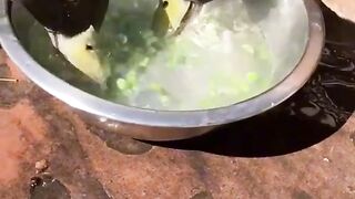 Приколи 123
