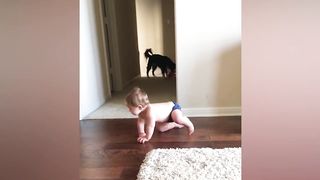 Cute Babies Playing with Pets Compilation