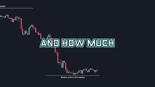 PVT Indicator: ALWAYS Know When Smart Money Enters/Exits The Market