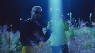 Rauw Alejandro & Chencho Corleone - Desesperados (Video Oficial) 2
