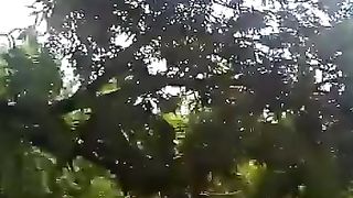 Accident 7