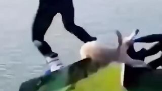 Funny animals pt 2