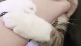 Funny animals pt3