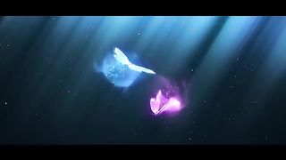 Twr ajana lajana official chakma romantic music video 2021 pottaputti creation
