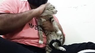 I love enjoying my spare time with pet cat