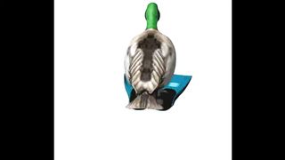 Duck spinning to tokyo drift
