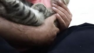 An extremely adorable cat