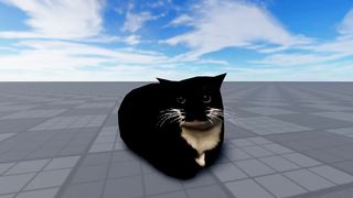 Maxwell The Cat 2