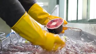 Amazing Tuna factory! Mass production of huge frozen tuna / Korean food factory