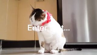 Funny video