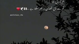 Lovely song 11