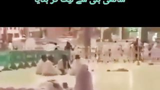 Azan_Ki_Awaz, Azan, Cats,