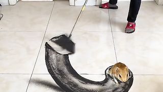 so funny video chines vide