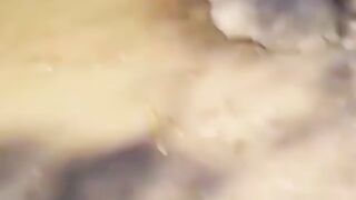 TRY NOT TO LAUGHING I Best Funny Videos Compilation 2023 # 429