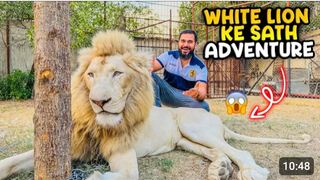 White lion ke cage me agae ???? bachon ko bhi adventure karwa dia.