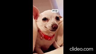 A funny video. 2
