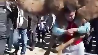 Camel funny