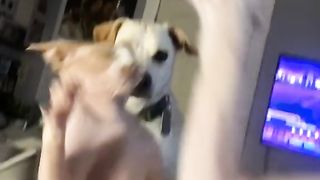 Funny Animals 16