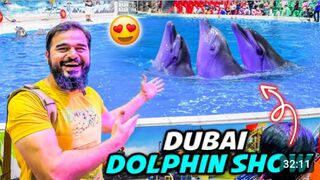 Dolphins ne kamal kardia ???????? sab heran hogae.