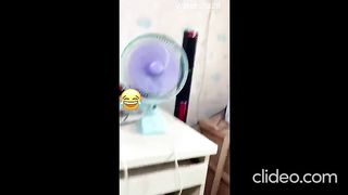 CUTE and FUNNY Cat Videos That Will Make You Laugh All Day Long