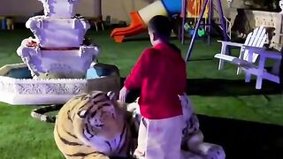 Funny video spot me bhai log 114