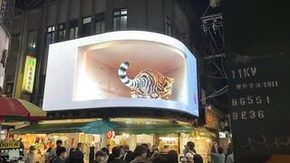 【4K】3D Tiger Billboard in Taipei Shilin Night Market 2