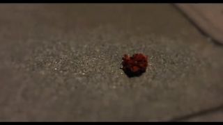 Night, Night, Baby Lore of Roger(2023)|Horror Movies Trailers 2023|latest hollywood movies 2023