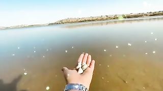 New sindhi song