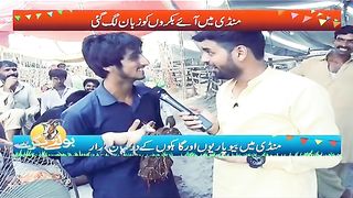Funny video