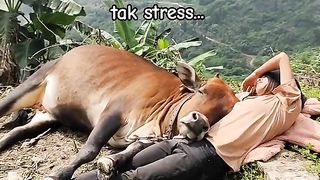 nyantai dulu ahh