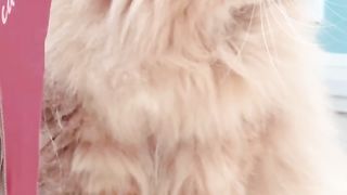 Wow!! Sweet caty!