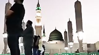 Shorts Madina