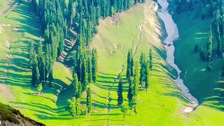 #shorts video kashmir #vlog #shorts #viral