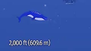 How deep is the titanic shipwreck