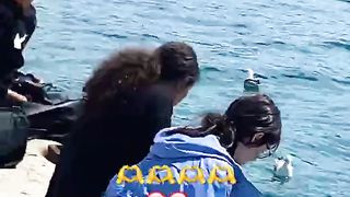 Italian Bird’s Amazing Swimming