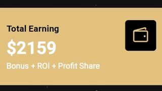 Invest 7$ and earn 2159$