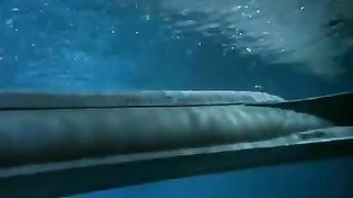 Viagem ao Fundo do Mar - A Múmia