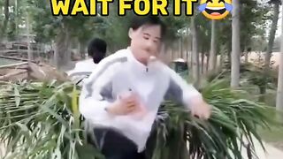 Best funny comedy video tiktok china compilation 2023 2